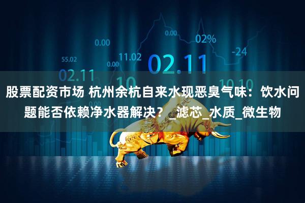 股票配资市场 杭州余杭自来水现恶臭气味：饮水问题能否依赖净水器解决？_滤芯_水质_微生物