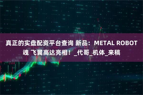 真正的实盘配资平台查询 新品：METAL ROBOT魂 飞翼高达亮相！_代哥_机体_来稿